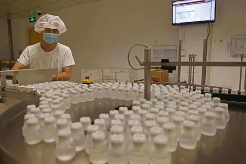 GE醫療堅定扎根中國信心，以更大規模參展第五屆進博會